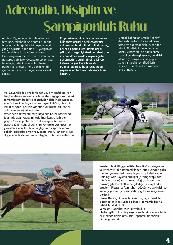 Horse Magazine Design 3